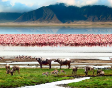 Call for hosts of the 12th International Conference on UNESCO Global Geoparks in 2027