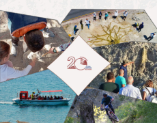 INTERNATIONAL INTENSIVE COURSE ON UNESCO GLOBAL GEOPARKS UNESCO Global Geoparks and Sustainable Management