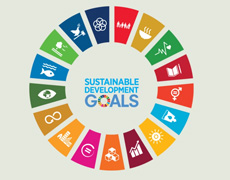 SDGs updated template for UNESCO Global Geoparks